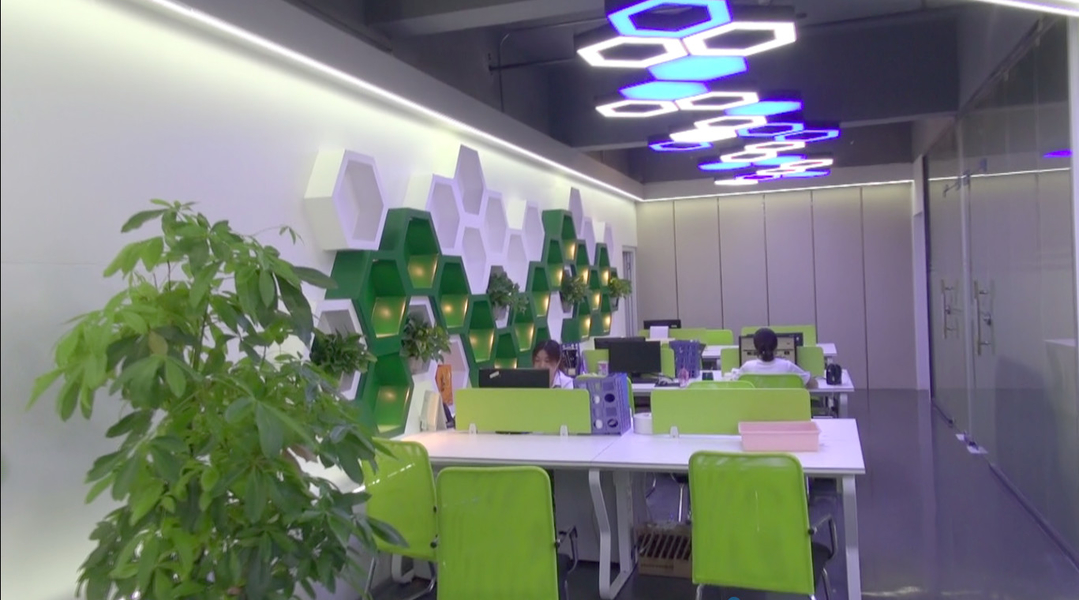 CHINA Shenzhen Xinhe Lighting Optoelectronics Co., Ltd. Bedrijfsprofiel