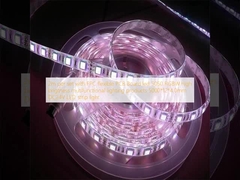 2m per set met FPC flexibele PCB-bord led 5050 RGBW hoge helderheid multifunctionele verlichtingsproducten 5000*12*4.0mm DC24V LED strip licht