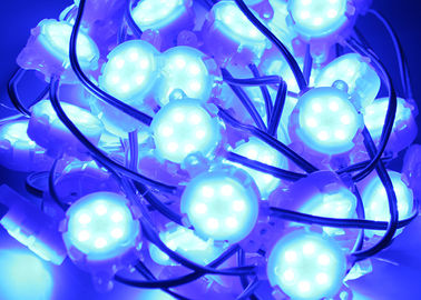 Waterdichte Epistar SMD 5050 RGB 30mm Blauw Punt Geleid Licht Openlucht