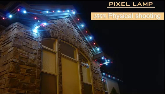 Permanente Vakantie Lichte WS2811 2904 Ic Pretpark 30mm van Kerstmislichten Licht van het Pixel Rgb RGBW Geleide Punt