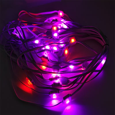 Addressable 20mm Diameter RGB Waterproof Eave Light for Permanent Christmas Decoration