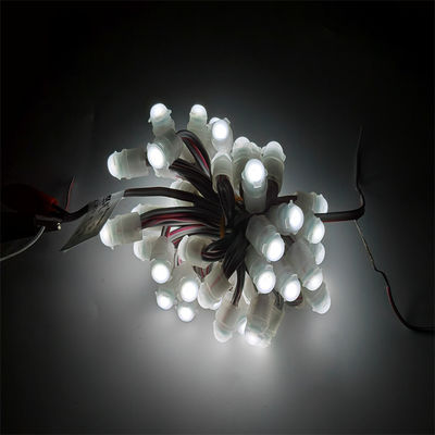 Acrylic Led Backlight RGBIC DC5V Jellyfish Christmas Lights for Outdoor Decoration