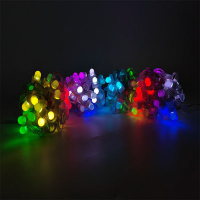 Smart 12mm SMD5050 RGBW Pixel LED String Light IP67 Outdoor Decoration with Changeable Emitting Color PC Lamp Body
