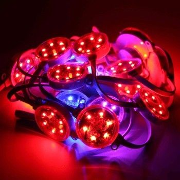 Miracle Bean DC24V Outdoor Waterproof IP67 RGB LED Point Light For Building Lighting Project