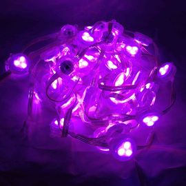 30mm DC12V RGB Volledige Kleuren LEIDENE Pixelmodule met DMX512-Controle