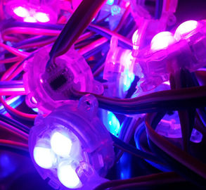 30mm SMD 5050 12V rgb geleid pixel met volledige kleur-11 jaar die ervaring vervaardigen