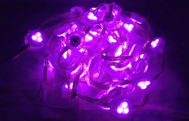 Het rode Groenachtig blauwe Geleide Rgb van de de Temperatuurdc12v 1W Fee van de Pixelkleur Lichte Gordijn