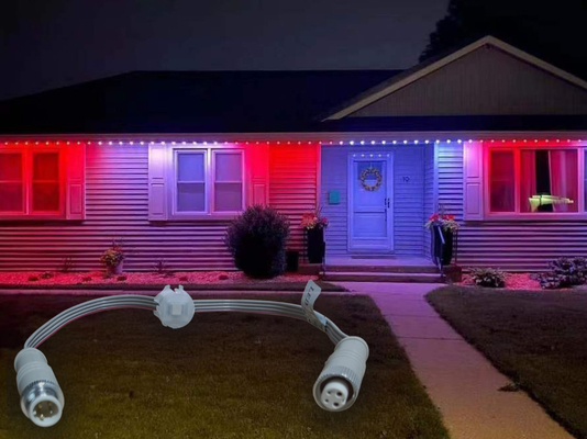 20MM het 30MM Permanente van het Pixelpunt van Vakantie Lichte 5050 Rgb Rgbw 1903 2904 IC Geleide Licht van het Smart Home Buitenkerstmis