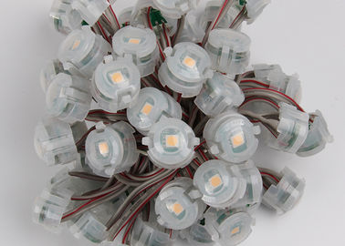 Openluchtdc12v 20mm SMD 5050 de IP67 Geleide Lichten 2000mcd van Pixelkerstmis
