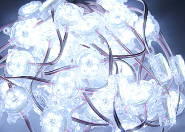 Wit RGB 30mm IP67 6 Spaanders LEIDENE Tekendc24v LEIDEN Pixel voor Verlichtingsdoos