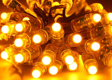 RGB LEIDEN van de Epistar maken 03W 12mm Volledige Kleur Pixel Lichte DC5V 2 jaar waterdicht Garantie