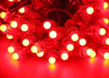 Geleide het Pixel Lichte ROHS 120 Stralingshoek van de douane RGB Volledige Kleur DC05V Koord