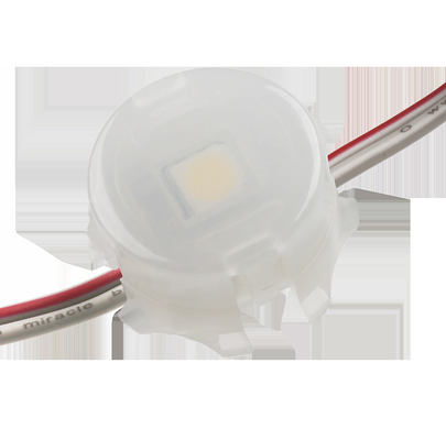 Enig Kleurensmd 5050 LEIDEN Aangepast Punt Lichte Waterdichte IP67 0.3W 12V 20mm