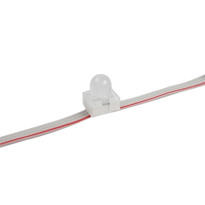Mirakelboon 12mm LEIDEN Pixel Lichte Waterdichte IP67 0.3W 12V