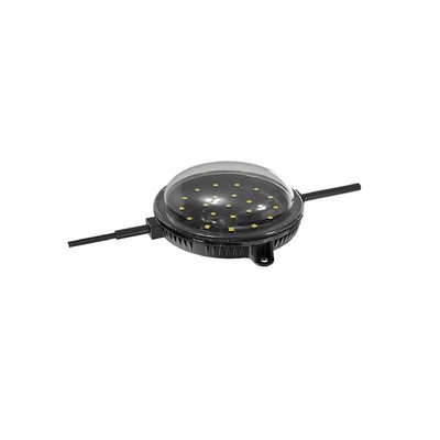 LEIDENE van mirakelbean waterproof point light IP67 5W 24V 100mm RGB Openlucht