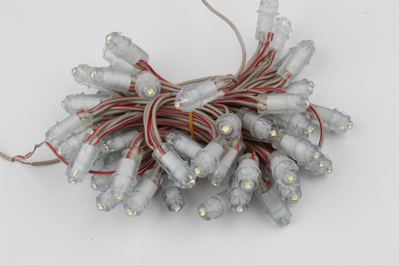 Hoge helderheid DC12V enkele kleur buiten LED-pixellicht IP67 SMD2025