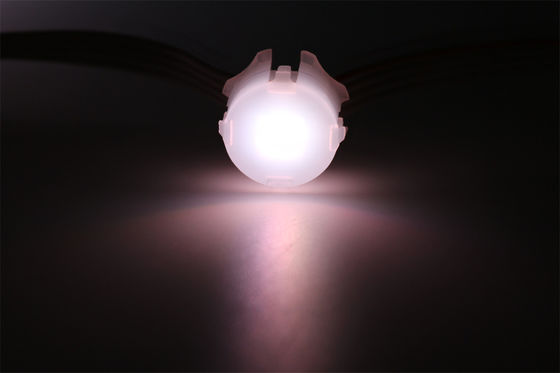 0.3W RGB 20 mm waterdichte LED-puntverlichting DC5V 12V SMD5050 IP67
