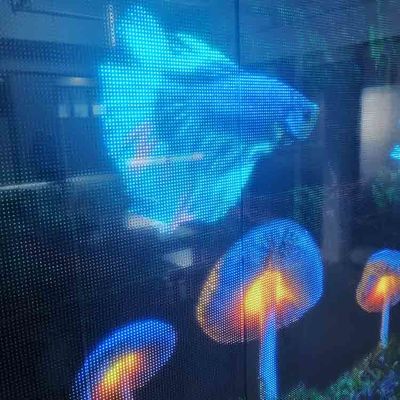 P6.25 Flexibel LED-doorzichtig filmscherm Indoor Soft Adhesive Super Slim LED Display