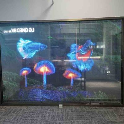 Indoor Transparent LED Film Display Full Color Flexibel Transparent LED Scherm