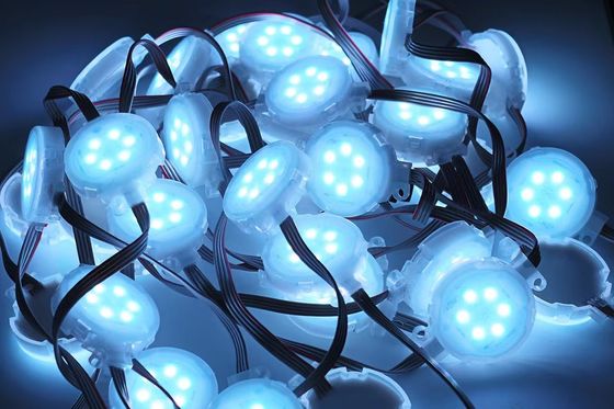 hoog helderheid 50mm 24v LED puntlicht voor buitenversiering