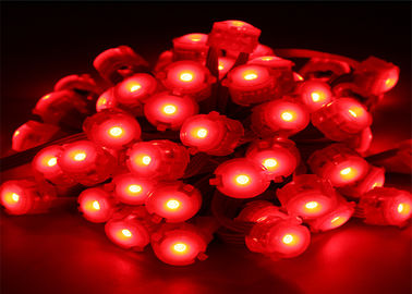 Waterdichte 0.25W 20mm Rood Pixel Geleid Verlichting 12 Volt LEIDEN Licht