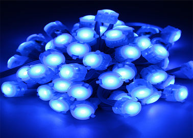 Blauwe DC12V 5050 20mm LEIDEN van IP67 0.25W Pixellicht met Stralingshoek 120