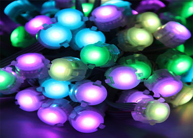 Programmeerbare Adresseerbare 20mm LEIDENE Punt Lichte Kleur die DMX512 veranderen