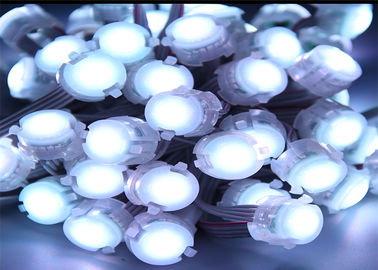 Aangepast 1 Spaander 5050 0.25w-LEIDENE Punt Lichte Witte Enige Kleur 20mm Pixelleiden