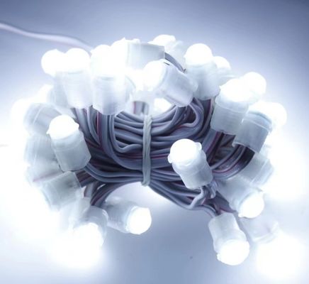 wit geleid licht buiten waterdicht 50 LEDs DC 12V 9mm Led Pixel String Light