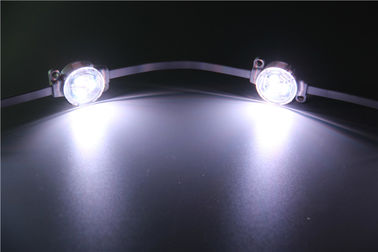 DMX-LEIDEN van de Controle RGB Volledig Kleur SMD5050 DC12V Puntlicht voor de Bouw