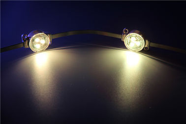 Waterdichte IP67 5050 van RGB 3pcs LEIDENE van SMD Levensduur Punt de Lichte 30000 Uren