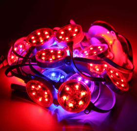 Openlucht 40mm 50mm SMD3535 DMX Digitaal RGB Geleid Waterdicht Pixel IP67
