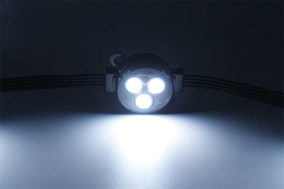 Decoratief SMD 30mm waterdicht IP67 12V LED puntlicht