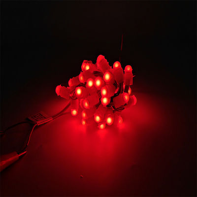 Miracle Bean LED Kerstversieringen LED puntlicht Eénkleurig LED programmeerbaar Pixellicht