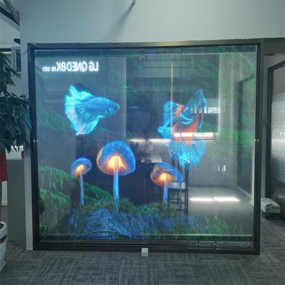 P10 DC5V RGB LED Transparent Film Screen Voor Retail Store Reclame Gemakkelijke installatie Met PCB Board