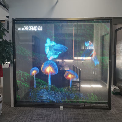 RGB-kleur P10 LED-transparant filmscherm Indoor H Flexibel LED-scherm