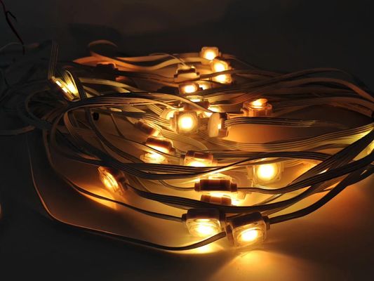 DMX512 1.5W RGB LED Eave Lights Outdoor House Eave Christmas Decoration