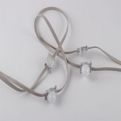 Groothandel 24V SMD3535 IP67 Single And RGB Color Changing Programmable LED Pixel Chain Light Met Controller