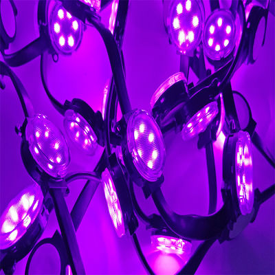 Groothandel 24v 4cm Diameter LED Pixel Lights PC Materialen LED Kerstfeest RGBW Waterdicht 1.5W