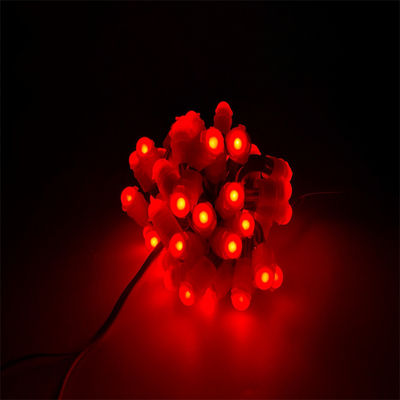 DC12V 9mm Factory Direct Sale Led pixel licht IP67 Waterdicht Voor Led Reclamebord Kerstboomverlichting