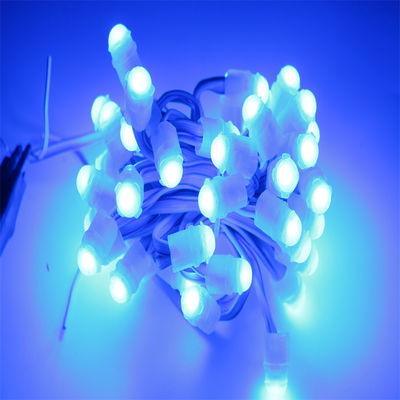 Goede prijs IP67 Waterdicht LED Pixel Light DC12V 0.2 W met 160° kijkhoek en 30 000 uur levensduur