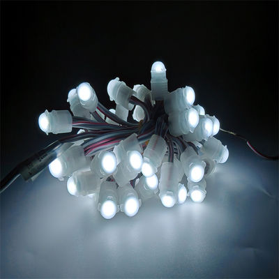 Goede prijs IP67 Waterdicht LED Pixel Light DC12V 0.2W met 30000 uur Levensduur Buitenversiering Veranderbaar