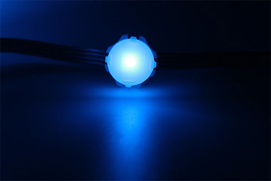 Kerstmis warm hoog helderheid buiten decoratie LED punt licht buitenverlichting