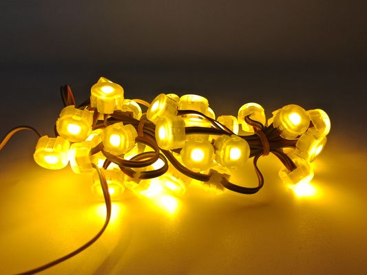 Hot Sale Christmas Lights IP67 Waterproof RGB LED Outdoor Eaves Light String WiFi App Controlled Holiday Garden Point