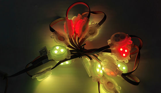 Kerst LED Pixel Point Light 30mm RGB waterdicht spoorlicht