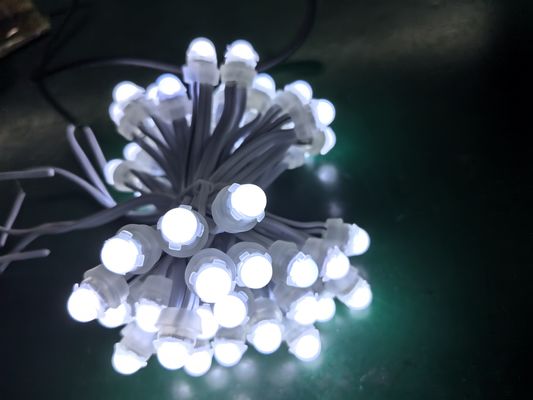 9 cm PVC-puntlichten Kleurrijke LED-bron en SPI-controle voor landschapstoepassingen