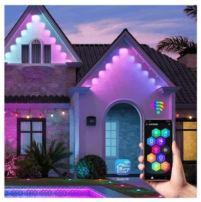 IP67 Outdoor Led Pixel Point Light String for Holiday Smart Christmas Decorations