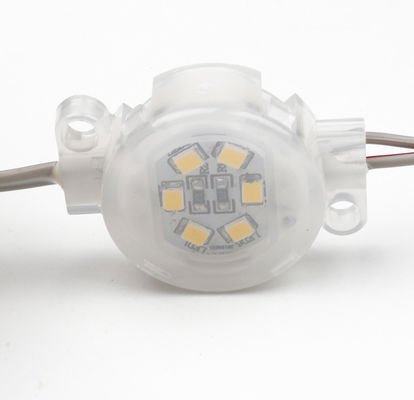 Waterdichte lichtbron voor pixelpunten 30 mm SMD5050 IP67 DC12V Spanning voor buitengebouwen