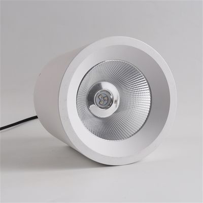 12w Cob Led Downlight Ingeklemde verstelbare aanpassing 400LM SPI USC2904 LED commerciële verlichting