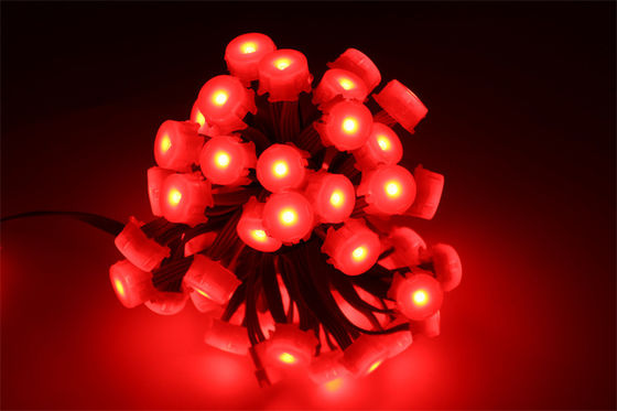 12V 20mm LED Pixel Lights for Outdoor Christmas Decor Long-Lasting Performance